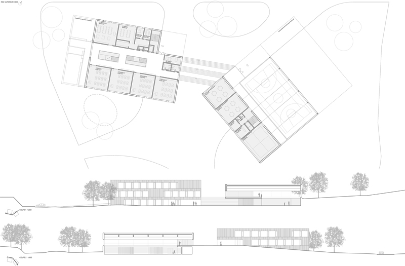 Javier Larraz Arquitectos. Nouvelle Ecole du Platy_04a